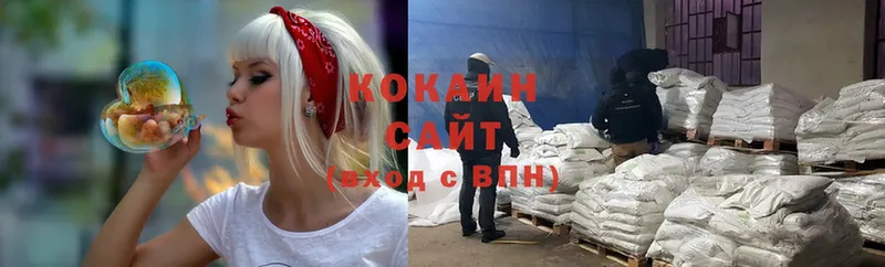 COCAIN Fish Scale Северск