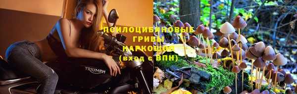 MESCALINE Лихославль
