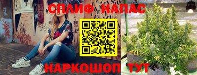 гашик Бугуруслан